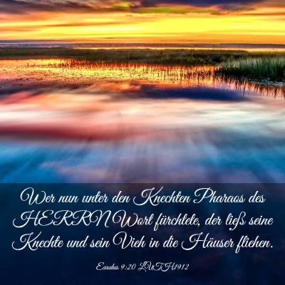 Picture 03 - Exodus 9:20 LUTH1912 - Wer nun unter den Knechten Pharaos des HERRN Wort - Bible Verse Picture