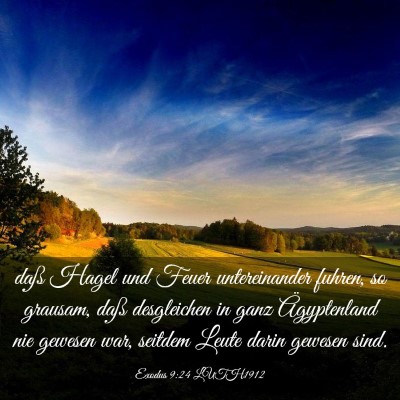 Picture 03 - Exodus 9:24 LUTH1912 - daß Hagel und Feuer untereinander fuhren, so - Bible Verse Picture