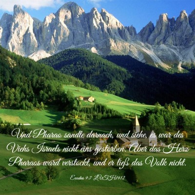 Picture 03 - Exodus 9:7 LUTH1912 - Und Pharao sandte darnach, und siehe, es war des - Bible Verse Picture
