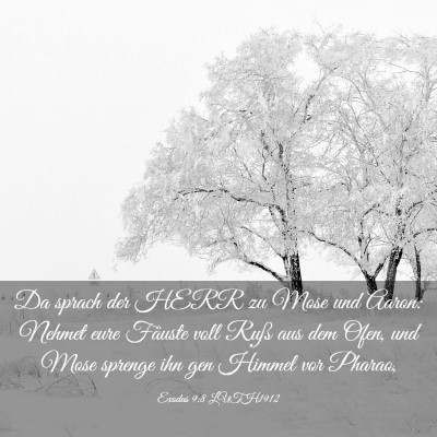 Picture 03 - Exodus 9:8 LUTH1912 - Da sprach der HERR zu Mose und Aaron: Nehmet eure - Bible Verse Picture