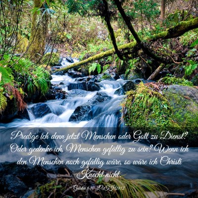 Picture 03 - Galater 1:10 LUTH1912 - Predige ich denn jetzt Menschen oder Gott zu - Bible Verse Picture