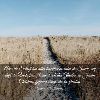 Picture 03 - Galater 3:22 LUTH1912 - Aber die Schrift hat alles beschlossen unter die - Bible Verse Picture