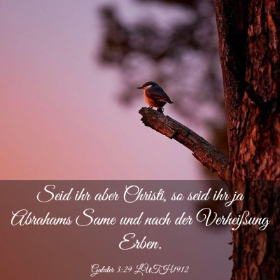 Picture 03 - Galater 3:29 LUTH1912 - Seid ihr aber Christi, so seid ihr ja Abrahams - Bible Verse Picture