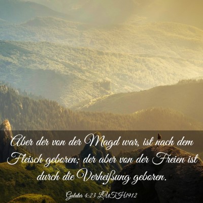 Picture 03 - Galater 4:23 LUTH1912 - Aber der von der Magd war, ist nach dem Fleisch - Bible Verse Picture