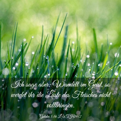 Picture 03 - Galater 5:16 LUTH1912 - Ich sage aber: Wandelt im Geist, so werdet ihr - Bible Verse Picture