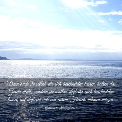 Picture 03 - Galater 6:13 LUTH1912 - Denn auch sie selbst, die sich beschneiden - Bible Verse Picture