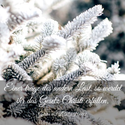 Picture 03 - Galater 6:2 LUTH1912 - Einer trage des andern Last, so werdet ihr das - Bible Verse Picture