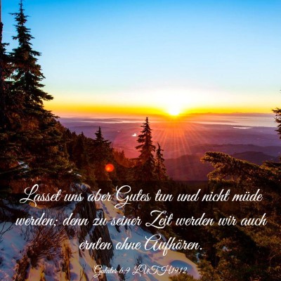 Picture 03 - Galater 6:9 LUTH1912 - Lasset uns aber Gutes tun und nicht müde werden; - Bible Verse Picture