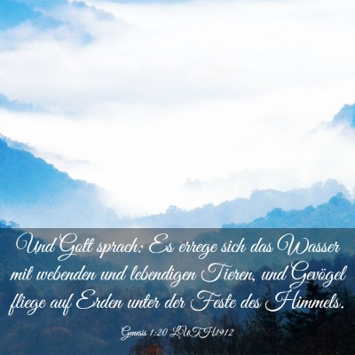 Picture 03 - Genesis 1:20 LUTH1912 - Und Gott sprach: Es errege sich das Wasser mit - Bible Verse Picture