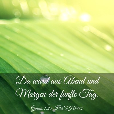 Picture 03 - Genesis 1:23 LUTH1912 - Da ward aus Abend und Morgen der fünfte - Bible Verse Picture