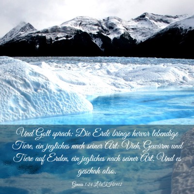 Picture 03 - Genesis 1:24 LUTH1912 - Und Gott sprach: Die Erde bringe hervor lebendige - Bible Verse Picture