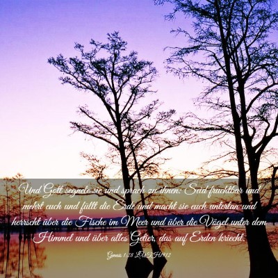 Picture 03 - Genesis 1:28 LUTH1912 - Und Gott segnete sie und sprach zu ihnen: Seid - Bible Verse Picture