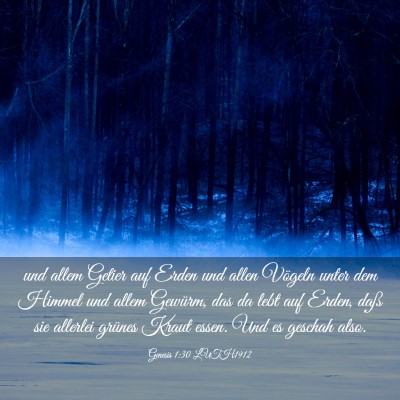 Picture 03 - Genesis 1:30 LUTH1912 - und allem Getier auf Erden und allen Vögeln - Bible Verse Picture