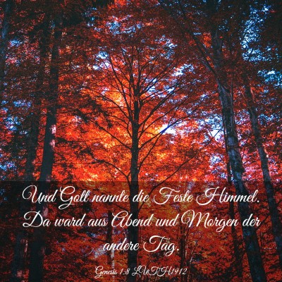 Picture 03 - Genesis 1:8 LUTH1912 - Und Gott nannte die Feste Himmel. Da ward aus - Bible Verse Picture