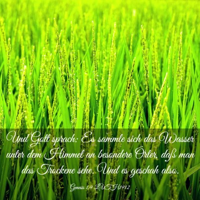 Picture 03 - Genesis 1:9 LUTH1912 - Und Gott sprach: Es sammle sich das Wasser unter - Bible Verse Picture