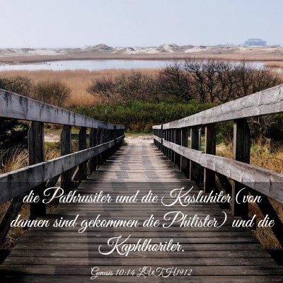 Picture 03 - Genesis 10:14 LUTH1912 - die Pathrusiter und die Kasluhiter (von dannen - Bible Verse Picture