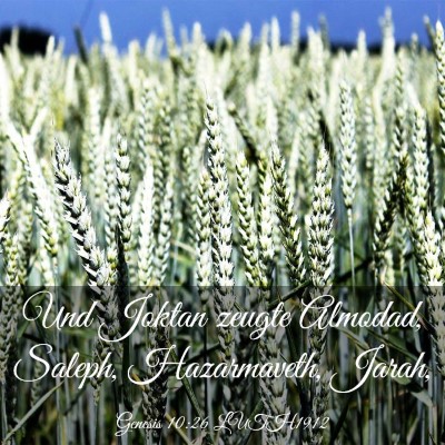 Picture 03 - Genesis 10:26 LUTH1912 - Und Joktan zeugte Almodad, Saleph, Hazarmaveth, - Bible Verse Picture