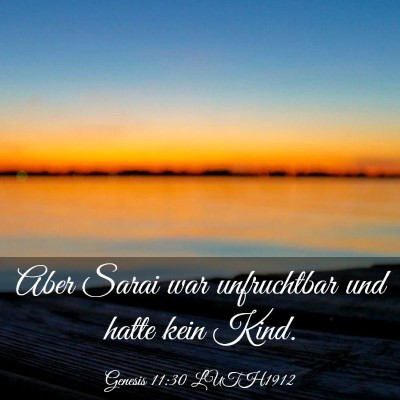 Picture 03 - Genesis 11:30 LUTH1912 - Aber Sarai war unfruchtbar und hatte kein - Bible Verse Picture