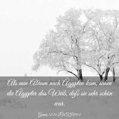 Picture 03 - Genesis 12:14 LUTH1912 - Als nun Abram nach Ägypten kam, sahen die - Bible Verse Picture
