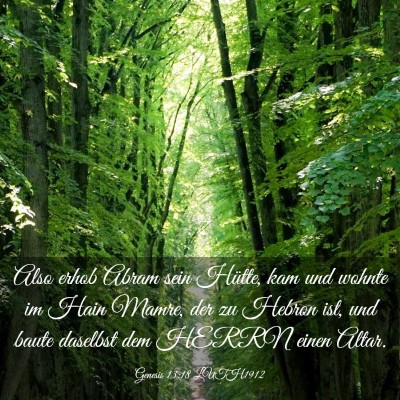 Picture 03 - Genesis 13:18 LUTH1912 - Also erhob Abram sein Hütte, kam und wohnte im - Bible Verse Picture