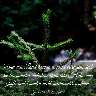 Picture 03 - Genesis 13:6 LUTH1912 - Und das Land konnte es nicht ertragen, daß sie - Bible Verse Picture