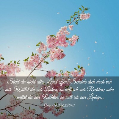 Picture 03 - Genesis 13:9 LUTH1912 - Steht dir nicht alles Land offen? Scheide dich - Bible Verse Picture