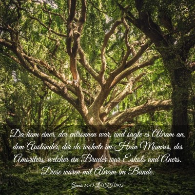 Picture 03 - Genesis 14:13 LUTH1912 - Da kam einer, der entronnen war, und sagte es - Bible Verse Picture