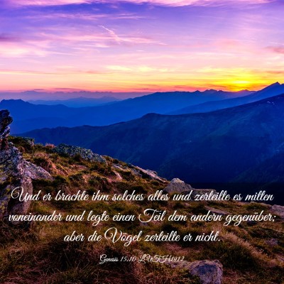Picture 03 - Genesis 15:10 LUTH1912 - Und er brachte ihm solches alles und zerteilte es - Bible Verse Picture