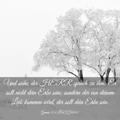Picture 03 - Genesis 15:4 LUTH1912 - Und siehe, der HERR sprach zu ihm: Er soll nicht - Bible Verse Picture