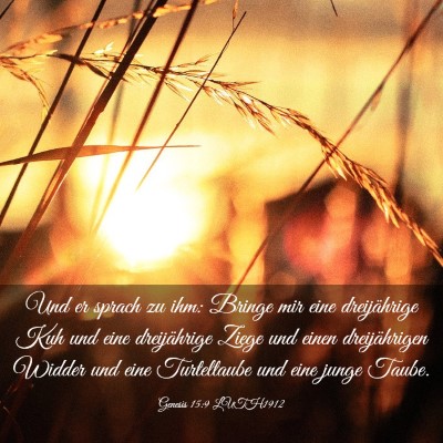 Picture 03 - Genesis 15:9 LUTH1912 - Und er sprach zu ihm: Bringe mir eine - Bible Verse Picture