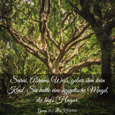 Picture 03 - Genesis 16:1 LUTH1912 - Sarai, Abrams Weib, gebar ihm kein Kind. Sie - Bible Verse Picture