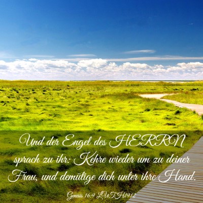 Picture 03 - Genesis 16:9 LUTH1912 - Und der Engel des HERRN sprach zu ihr: Kehre - Bible Verse Picture