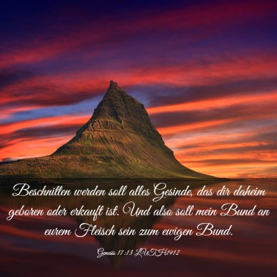 Picture 03 - Genesis 17:13 LUTH1912 - Beschnitten werden soll alles Gesinde, das dir - Bible Verse Picture