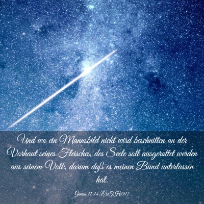 Picture 03 - Genesis 17:14 LUTH1912 - Und wo ein Mannsbild nicht wird beschnitten an - Bible Verse Picture