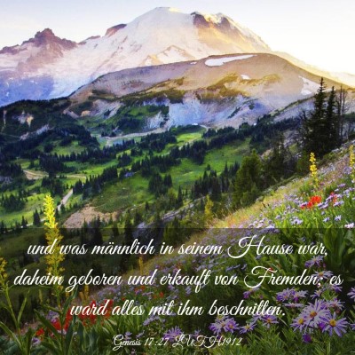 Picture 03 - Genesis 17:27 LUTH1912 - und was männlich in seinem Hause war, daheim - Bible Verse Picture