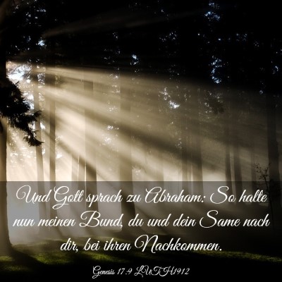 Picture 03 - Genesis 17:9 LUTH1912 - Und Gott sprach zu Abraham: So halte nun meinen - Bible Verse Picture