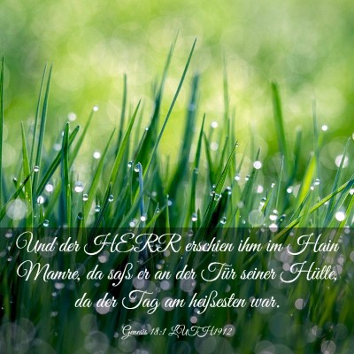 Picture 03 - Genesis 18:1 LUTH1912 - Und der HERR erschien ihm im Hain Mamre, da saß - Bible Verse Picture