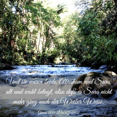 Picture 03 - Genesis 18:11 LUTH1912 - Und sie waren beide, Abraham und Sara, alt und - Bible Verse Picture