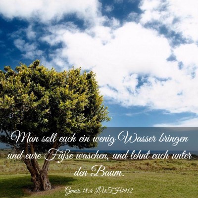 Picture 03 - Genesis 18:4 LUTH1912 - Man soll euch ein wenig Wasser bringen und eure - Bible Verse Picture