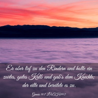 Picture 03 - Genesis 18:7 LUTH1912 - Er aber lief zu den Rindern und holte ein zartes, - Bible Verse Picture