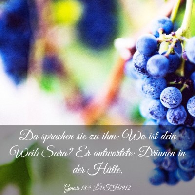 Picture 03 - Genesis 18:9 LUTH1912 - Da sprachen sie zu ihm: Wo ist dein Weib Sara? Er - Bible Verse Picture