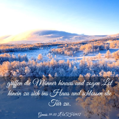 Picture 03 - Genesis 19:10 LUTH1912 - griffen die Männer hinaus und zogen Lot hinein - Bible Verse Picture