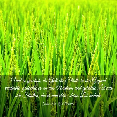 Picture 03 - Genesis 19:29 LUTH1912 - Und es geschah, da Gott die Städte in der Gegend - Bible Verse Picture