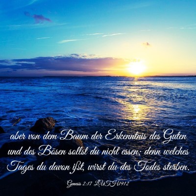 Picture 03 - Genesis 2:17 LUTH1912 - aber von dem Baum der Erkenntnis des Guten und - Bible Verse Picture