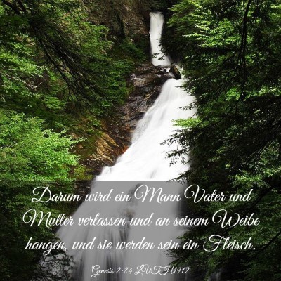 Picture 03 - Genesis 2:24 LUTH1912 - Darum wird ein Mann Vater und Mutter verlassen - Bible Verse Picture