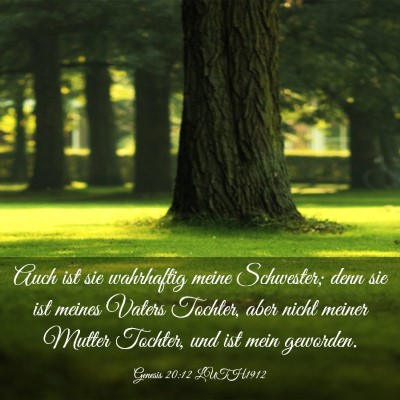 Picture 03 - Genesis 20:12 LUTH1912 - Auch ist sie wahrhaftig meine Schwester; denn sie - Bible Verse Picture