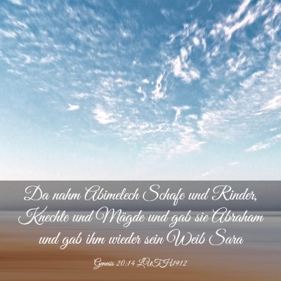 Picture 03 - Genesis 20:14 LUTH1912 - Da nahm Abimelech Schafe und Rinder, Knechte und - Bible Verse Picture