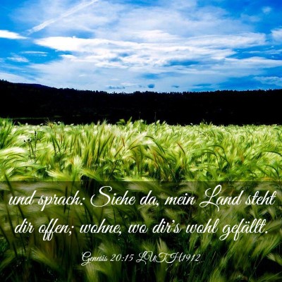 Picture 03 - Genesis 20:15 LUTH1912 - und sprach: Siehe da, mein Land steht dir offen; - Bible Verse Picture
