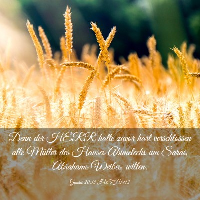 Picture 03 - Genesis 20:18 LUTH1912 - Denn der HERR hatte zuvor hart verschlossen alle - Bible Verse Picture