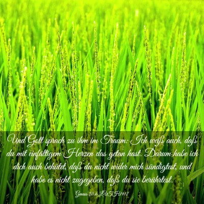 Picture 03 - Genesis 20:6 LUTH1912 - Und Gott sprach zu ihm im Traum: Ich weiß auch, - Bible Verse Picture